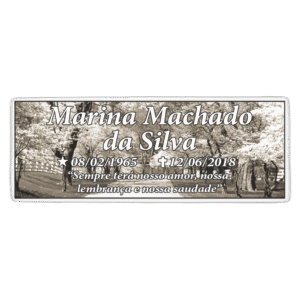 Placa de Porcelana 4.5x12cm