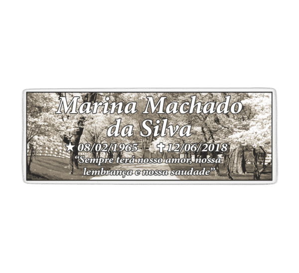 Placa de Porcelana 4.5x12cm