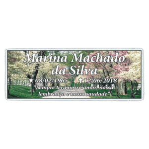 Placa de porcelana 4.5x12 cm