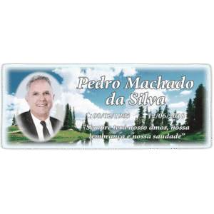 Placa de porcelana 10x25 cm