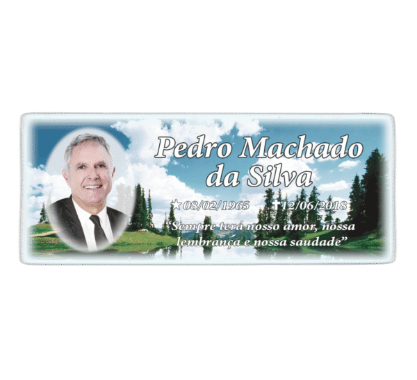 Placa de porcelana 10x25 cm